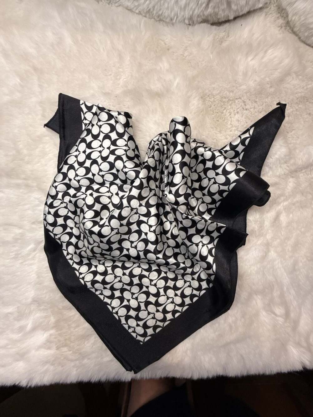 Coach scarf